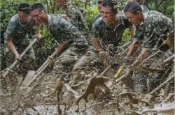 关于申花重伤倒地，贝林厄姆全队围拢祈祷，场面感人的信息